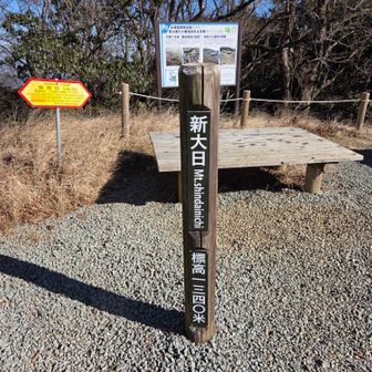 新大日山頂標識