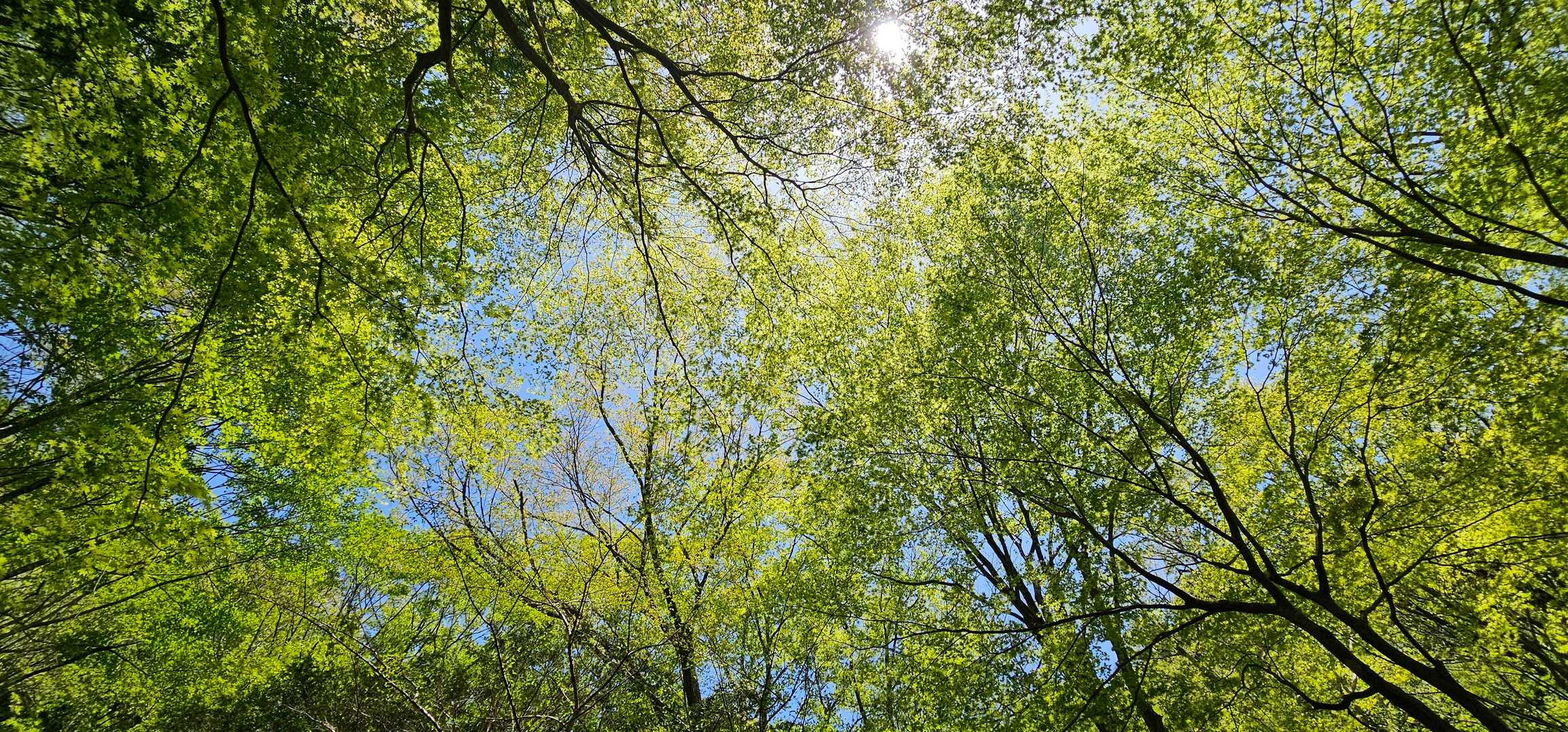 新緑のシャワーをたっぷり浴びて🌱
いい季節に来れてよかった😌