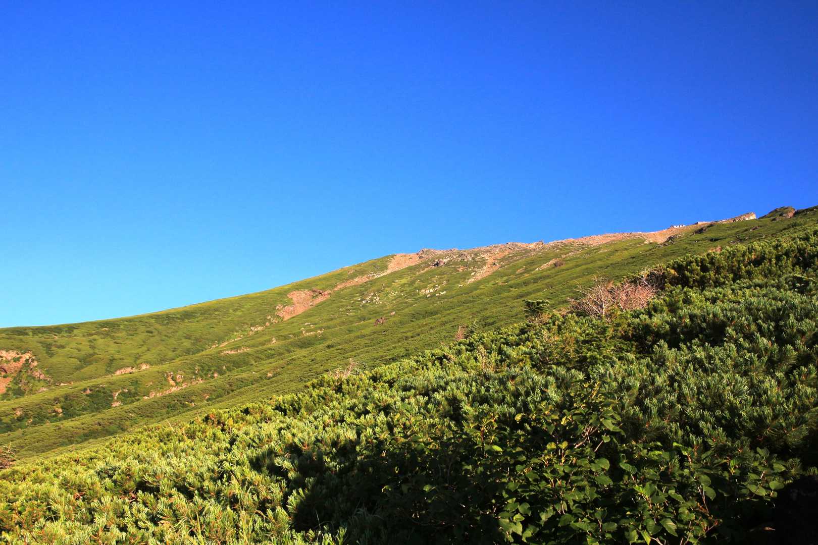 御嶽山緑の稜線と青空。