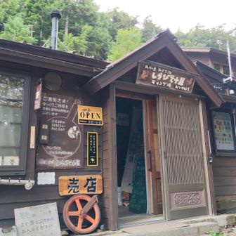 おお、ここがあのしらびそ小屋！リスは朝に見られるそうです。
