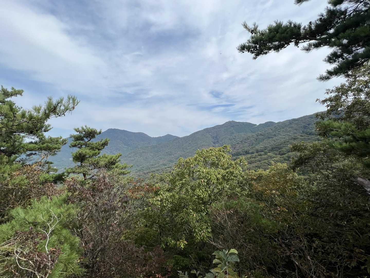きのこ山 往復コースの写真