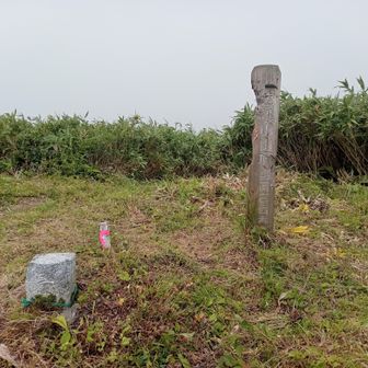 山頂に到着しました。一等三角点が設置されています。休憩していると青空も見えましたが、ガスは晴れそうにないので下山しました。