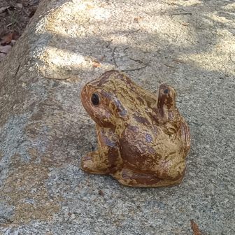 蛙の置物
爬虫類は苦手だが可愛い