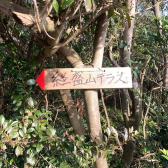 金鳥山のようにテラスがあるらしい