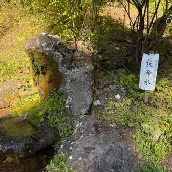 西岳の下りはあまり景色も変わらず長い〰️

石がゴロゴロで途中2度ほど転んだ😅
やっぱり下りは疲労が溜まってて
気をつけないとダメですね

やっとここまで来た💧
終点まであと少し