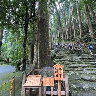 この石🪨
願いを込めて三回なでます🙏