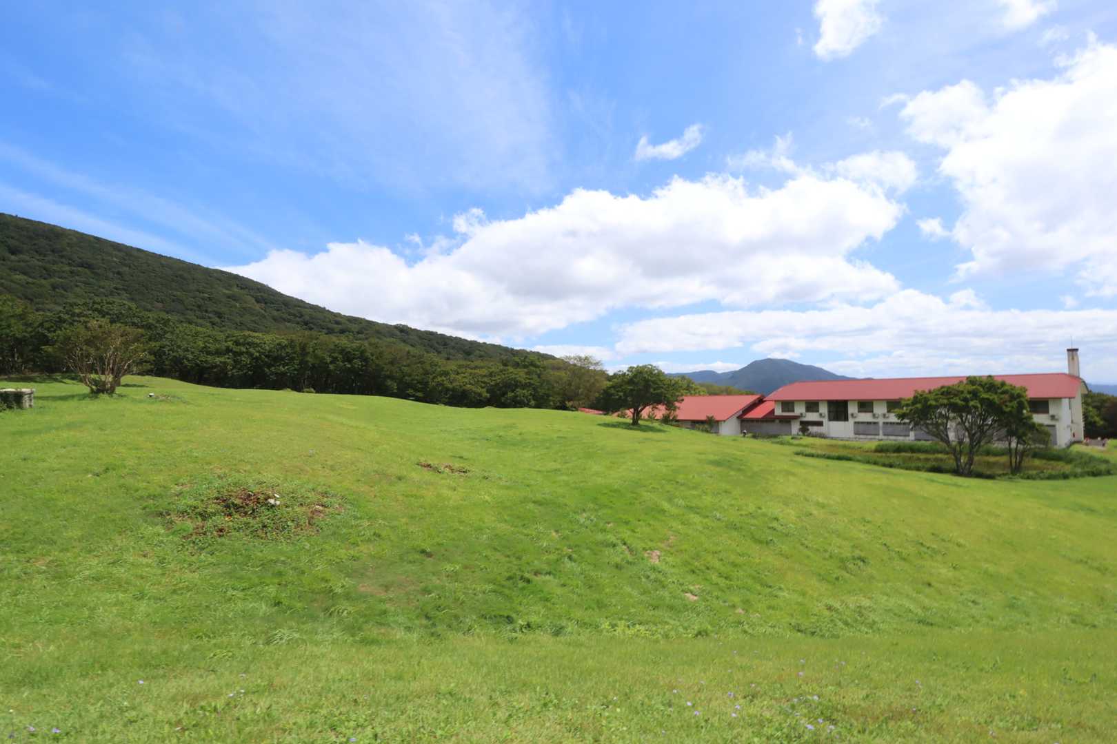 鯉のいる池を通て戻ってきました
おつかれ山！
