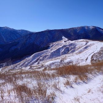 モフモフよりもう少し進むも山頂手前の直登で ↩️
登れそうだったけど 下りるのが・・・