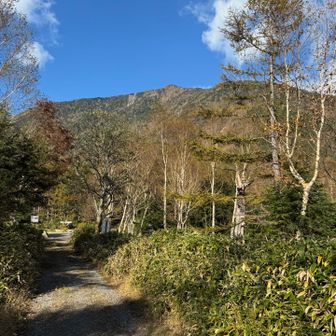 志津避難小屋から荷物を回収して、下山するよ〜
大真名子山