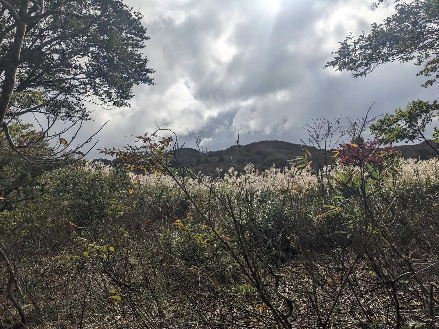雲出てきたな