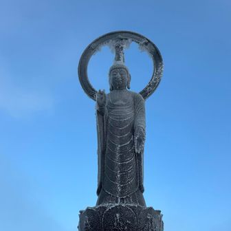 精一杯のブルーで撮影