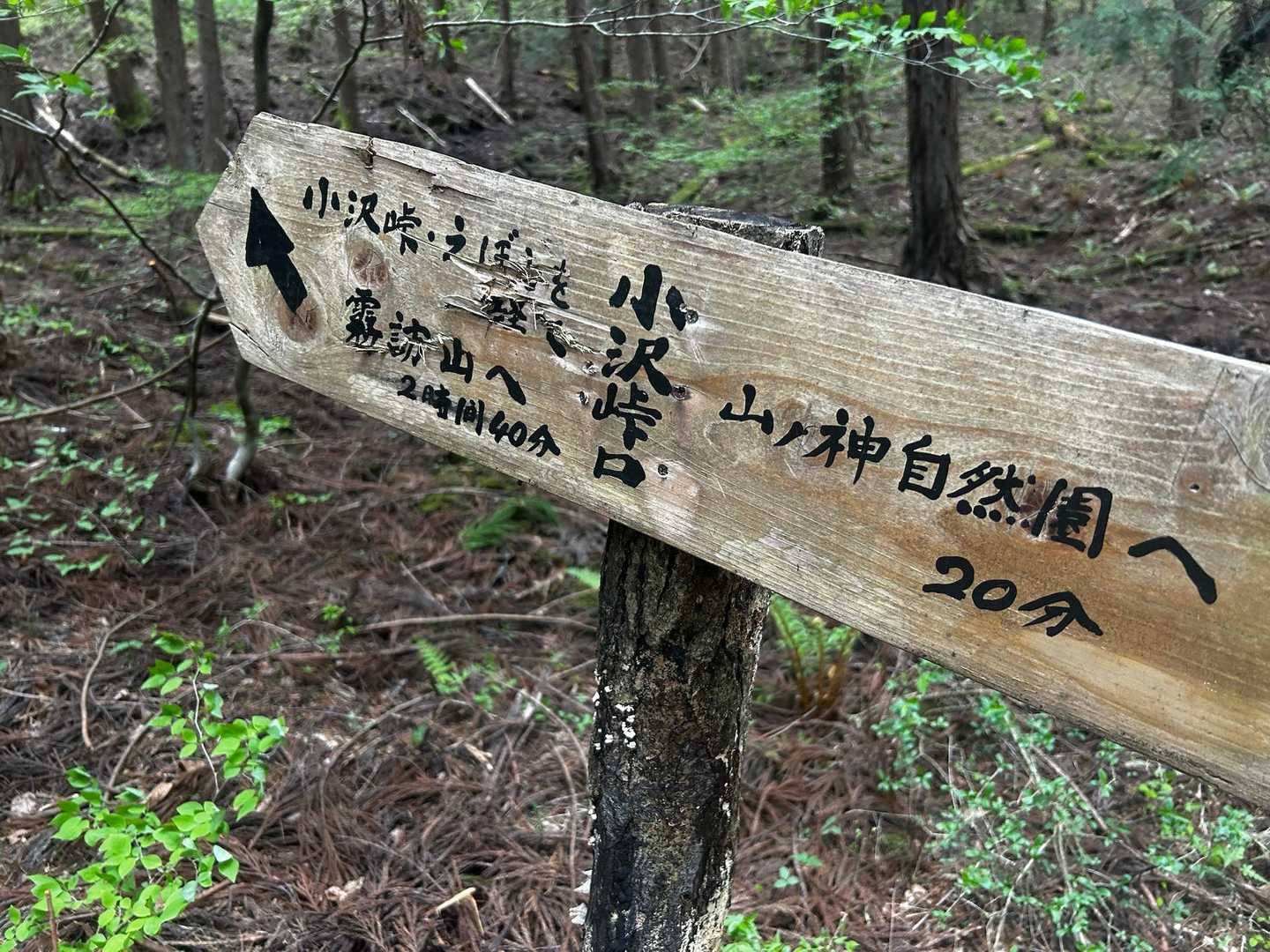 だいぶ下りてきた。
