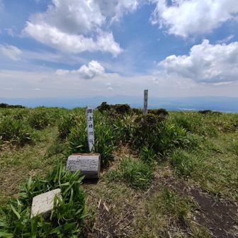 山頂というより丘