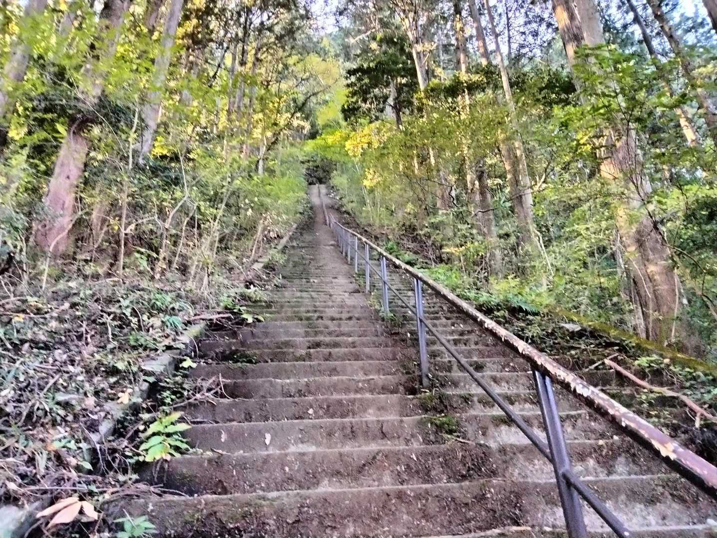 鋸山といえばこの長ーーーい直線の階段ですよね