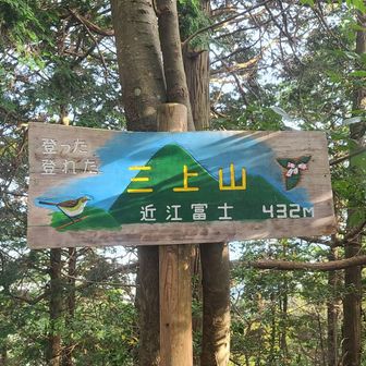 山頂です
今日は誰もおられない