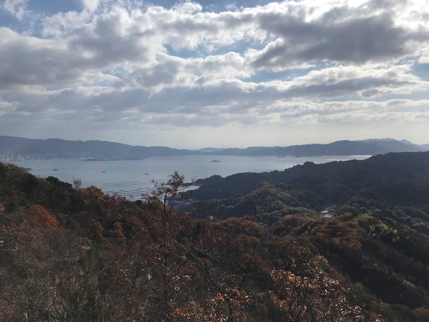 今日は雲が多くて風がありますね