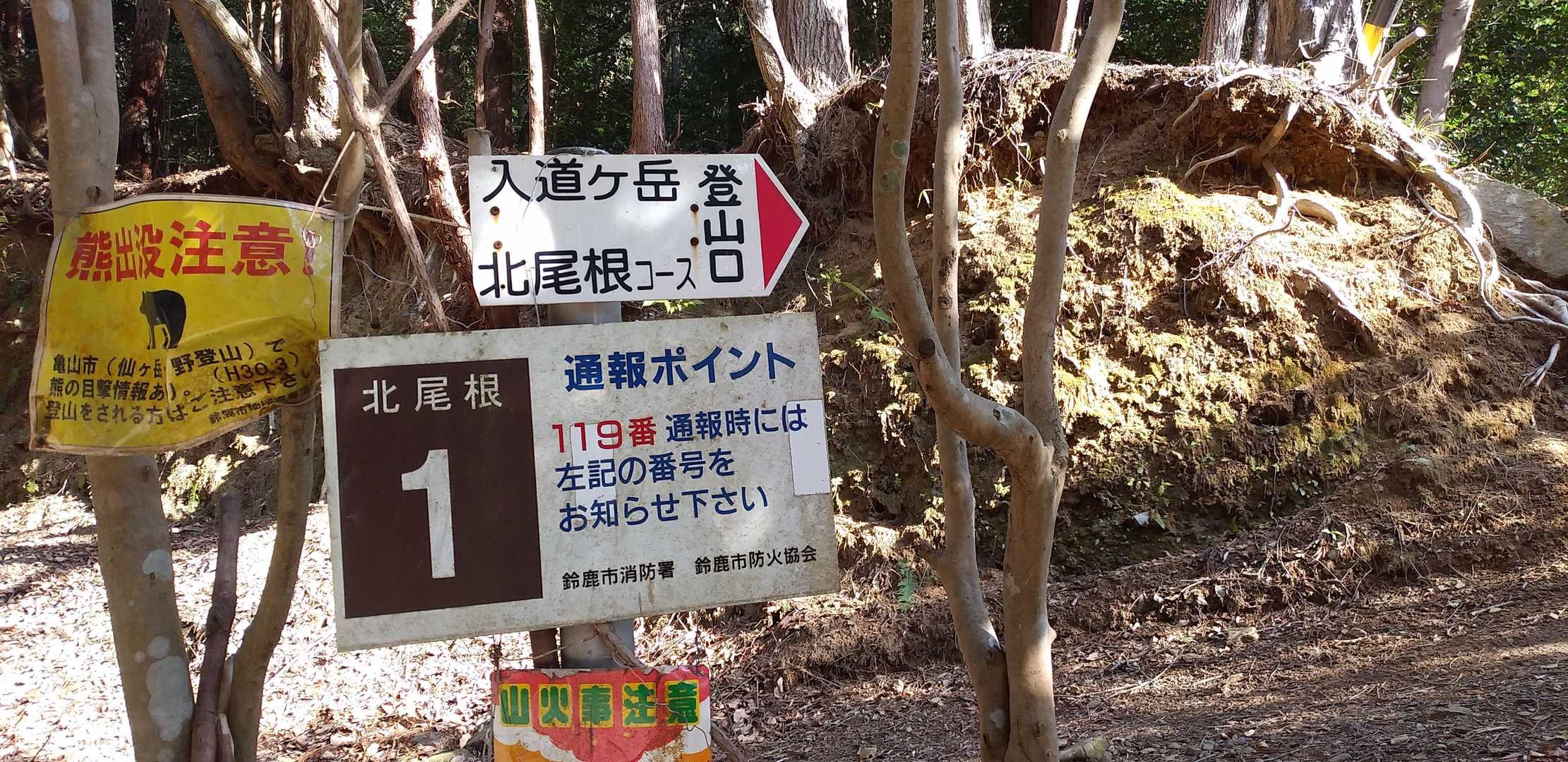 北尾根コースより上ります