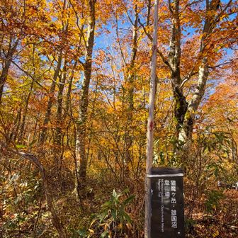 登山日和なお天気なので、磐梯山登る人たくさん！
八方台登山口駐車場いっぱい🚗
第2駐車場にギリギリ止めて、
わたしはこちらへGO=͟͟͞͞ (    ˙꒳​˙)
