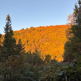 モルゲンで輝く紅葉の山肌🍁