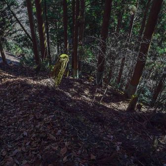 かなり急な下り