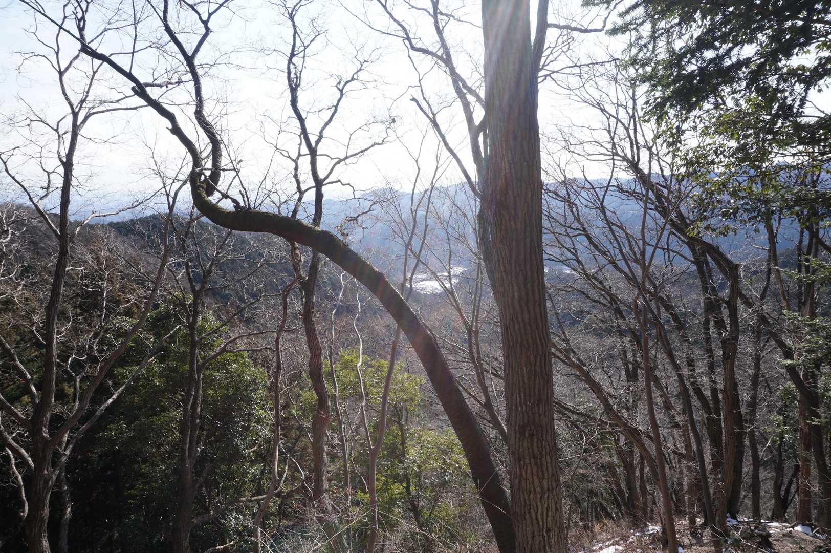 さぁ本日最後のピークを目指そう！