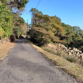 ここからは車道を通って戻ります。
子供の私も帰りは基本的に車道ルートでした。
多少暗くなっても比較的安全なので。