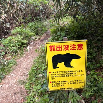 無事戻ってきました
