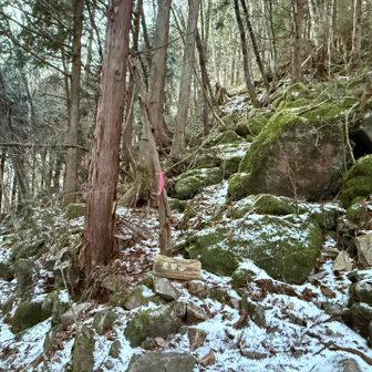 分岐、間違えないように右