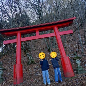 楽しめたようで良かった😊