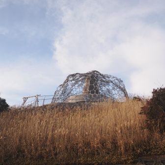 有料だったので遠くから