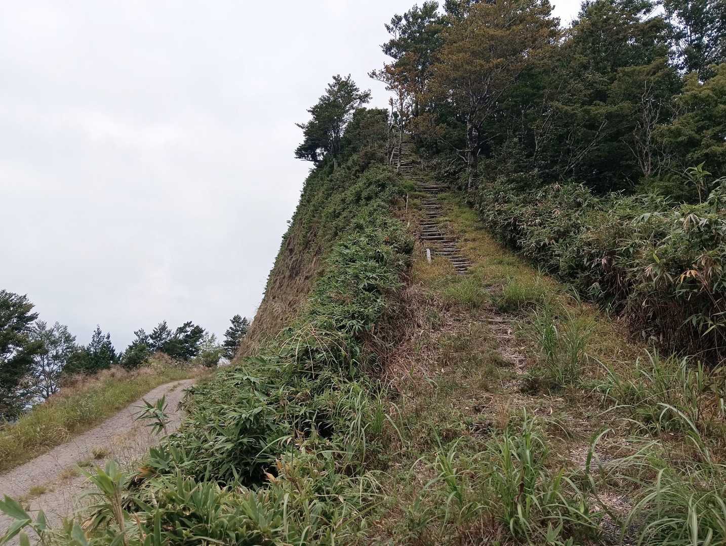 急な木段を避けて🤔
