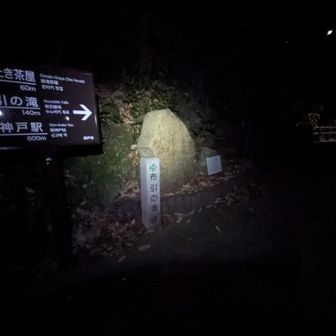 ヘッデン必須品！