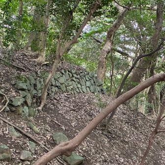 山城だったので石垣が残ってました