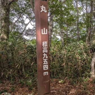 少し外れた所の狭い道を進んだ所にある山頂
唯一手を使う必要のある登山道