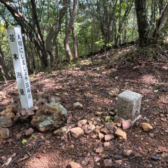 西峰の三角点