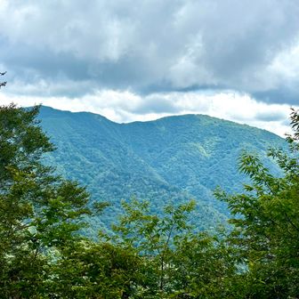 ブナ林の間から金糞岳

あそこまで無事歩けるのかと不安になる