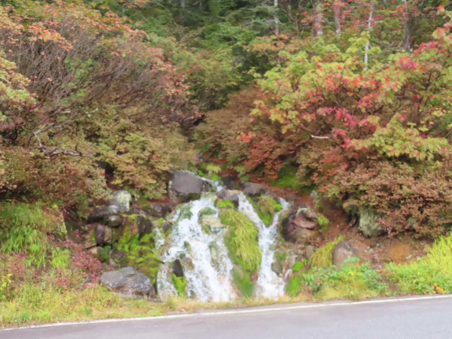 向かいにも滝が…
回りは紅葉しています。