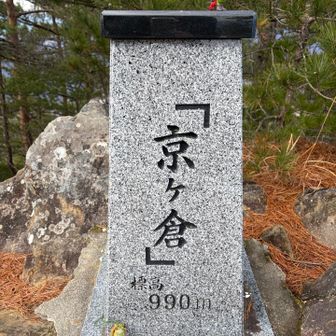 まるちゃんにもらった「ぶじかえる」と