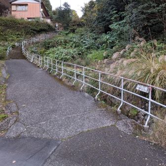 頂山登山道入口へ進む。行く道