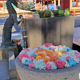 手水舎は
華やかに色とりどりに
飾られて
とてもキレイです✨️