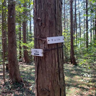 寺山登頂⛰️
この後５つのピークハントをして、下山した後は、小川町まで歩く🚶‍♂️