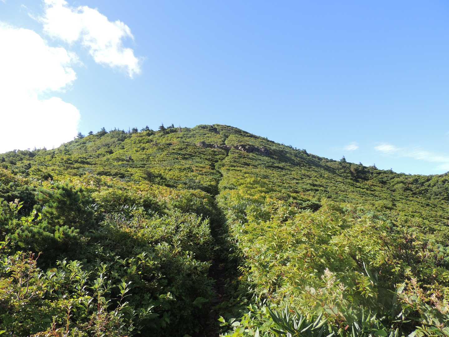 刈田峠-前山-杉ヶ峰-屏風岳 往復コースの写真