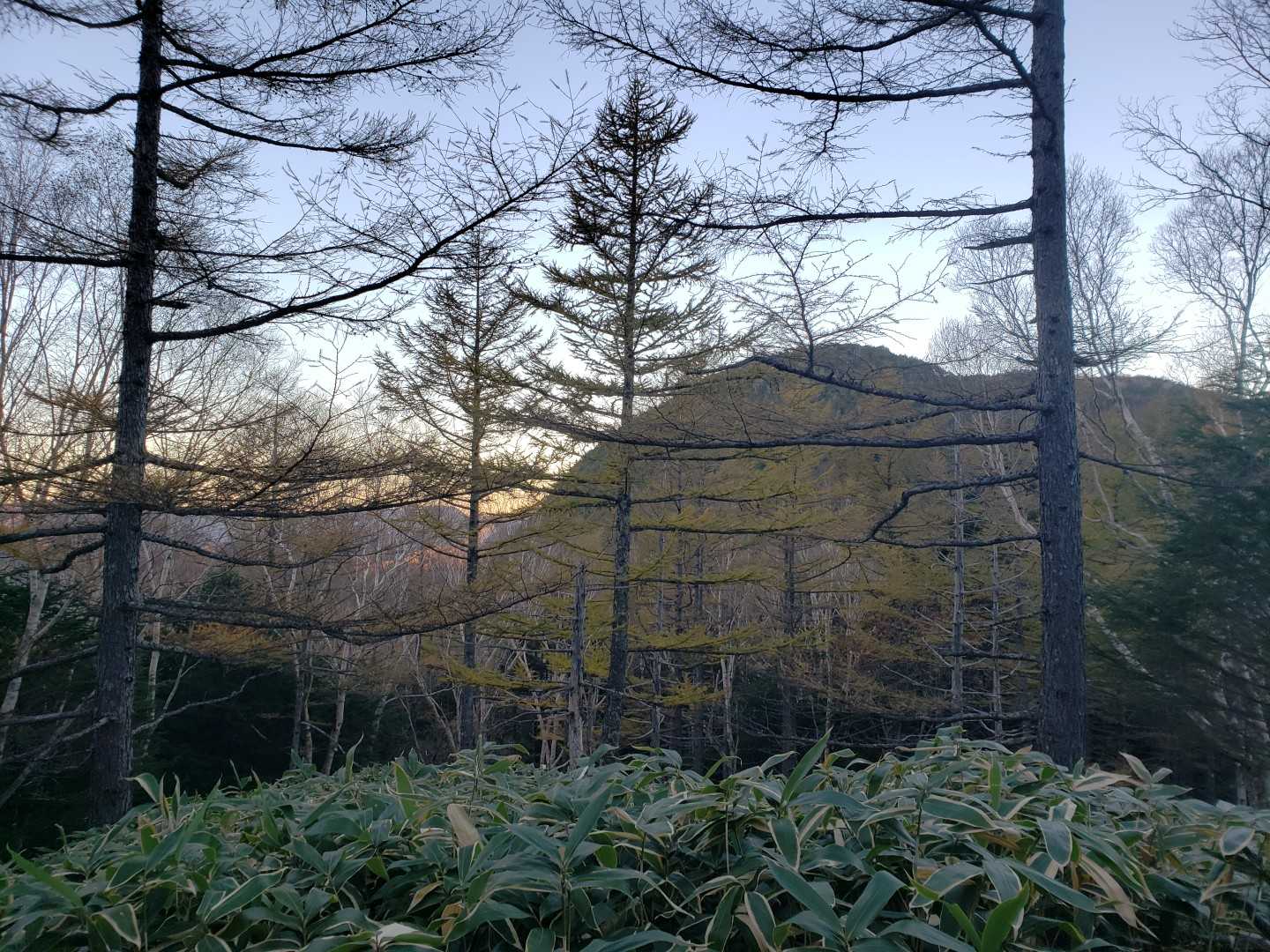 いいお天気🎵