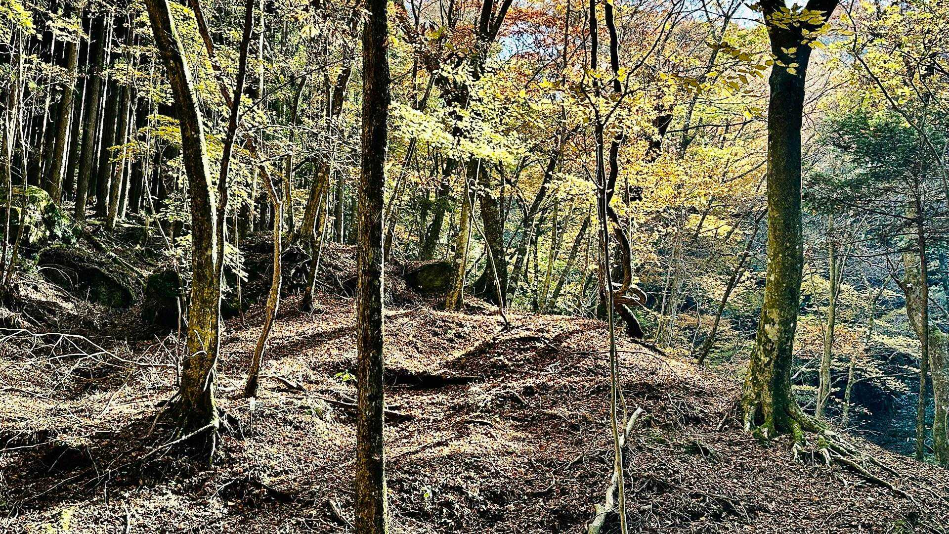 【神原（こうばる）渓谷】日本百名山・祖母山の山懐を流れる渓谷沿いの山歩道の写真