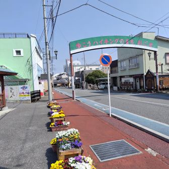 めっちゃハイキング押し((´∀｀))ｹﾗｹﾗ