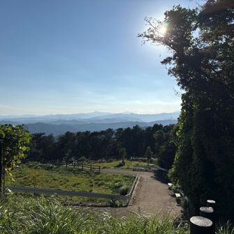 広場でぼーっとするのも良さそう。