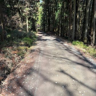 地味にこのコンクリ道が長い