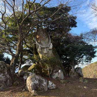 クジラみたいな神体石🐋