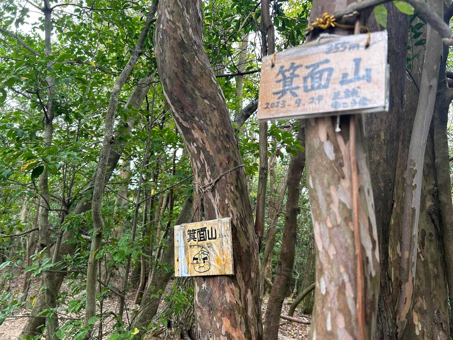 池田駅-愛宕神社-五月山-六個山-三国峠-石子詰登山口 縦走コースの写真