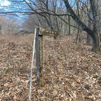 下山中は滑りやすいのとスマホの容量がほぼなく写真撮れず。ここはもうほぼ下山してます。